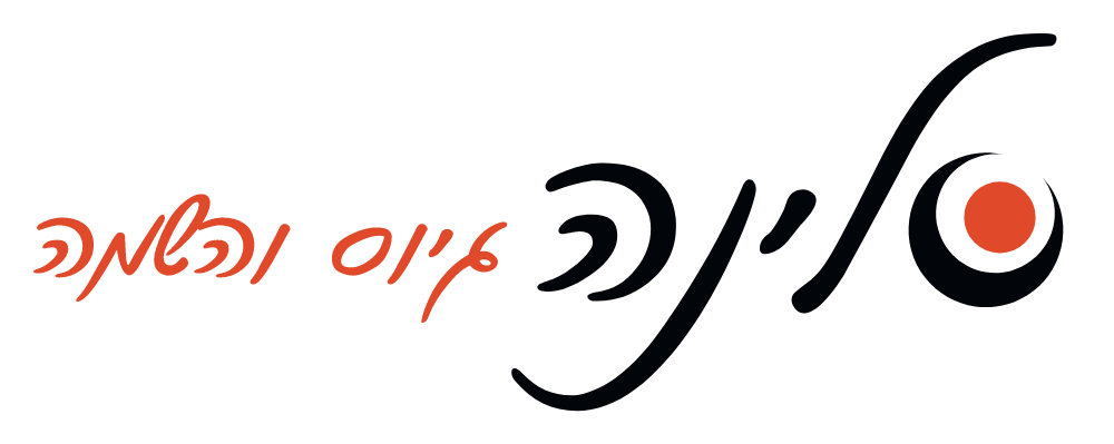 סלינה גיוס והשמה